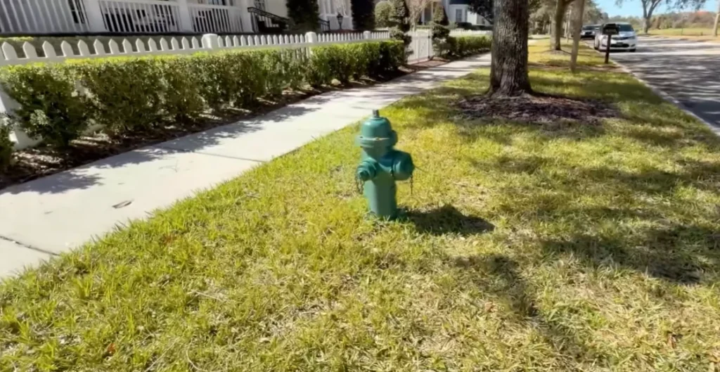 Hidrante público de metal pintado de verde localizado em um gramado residencial ao lado de uma calçada e de uma rua asfaltada nos Estados Unidos, sob a luz do sol.